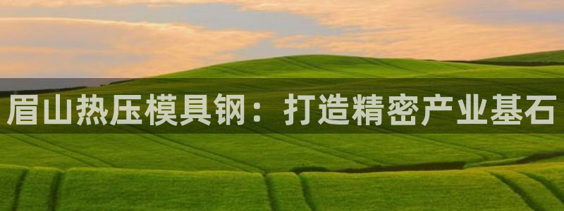 易倍申竞品