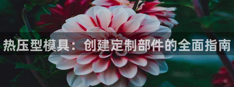 易倍单词官网下载：热压型模具：创建定制部件的全面指南