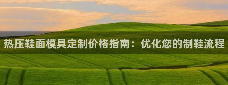 emc易倍账号异常：热压鞋面模具定制价格指南：优化您的制
