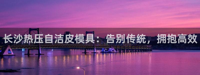 易倍申在中国成功上市：长沙热压自洁皮模具：告别传统，拥抱