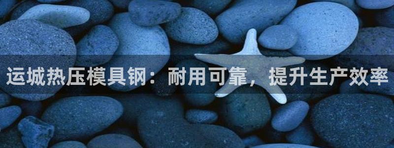易倍纤代餐奶昔怎么样：运城热压模具钢：耐用可靠，提升生产