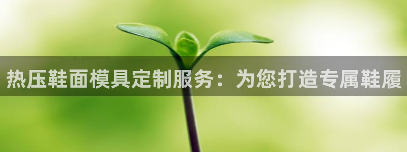 易倍申竞品