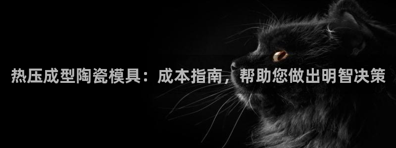 易倍申可以长期服用吗：热压成型陶瓷模具：成本指南，帮助您