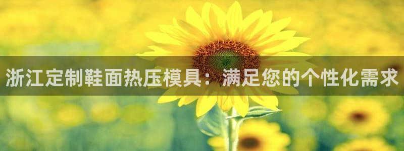 易倍全站下载：浙江定制鞋面热压模具：满足您的个性化需求