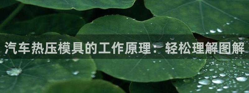 易倍单词app官网