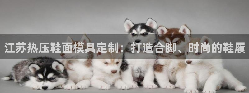 emc32软件安装：江苏热压鞋面模具定制：打造合脚、时尚