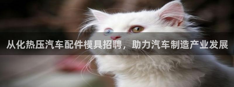 易倍纤代餐奶昔减肥效果怎么样