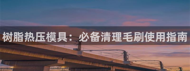 易倍纤能减肥吗：树脂热压模具：必备清理毛刷使用指南