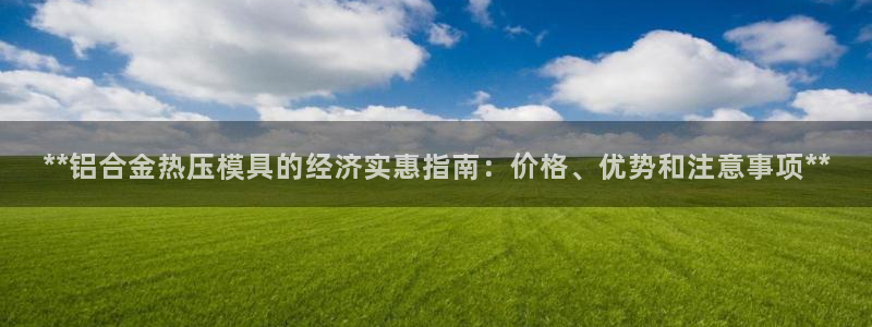 易倍申生产厂家：**铝合金热压模具的经济实惠指南：价格、