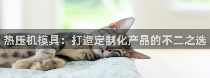 emc易倍官网首页进入：热压机模具：打造定制化产品的不二