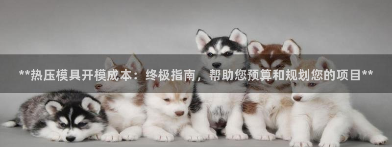 易倍纤奶昔减肥效果怎么样：**热压模具开模成本：终极指南