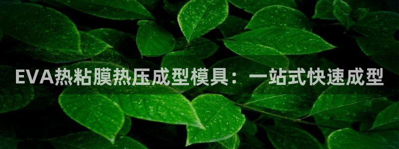 emc全站下载地址