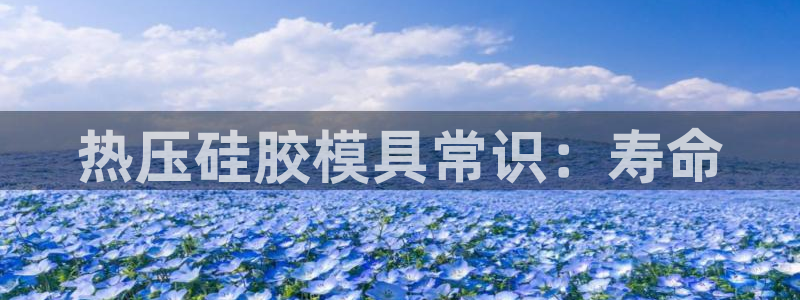 北京易倍思教育科技有限公司