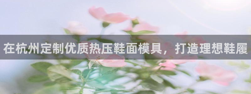 emc倍频只能是奇数倍吗：在杭州定制优质热压鞋面模具，打
