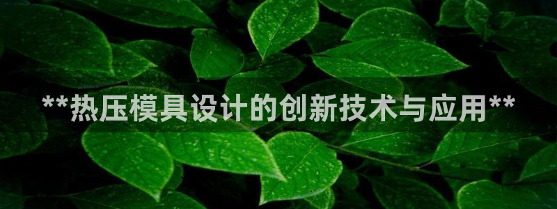 易倍达科技有限公司官网：**热压模具设计的创新技术与应用
