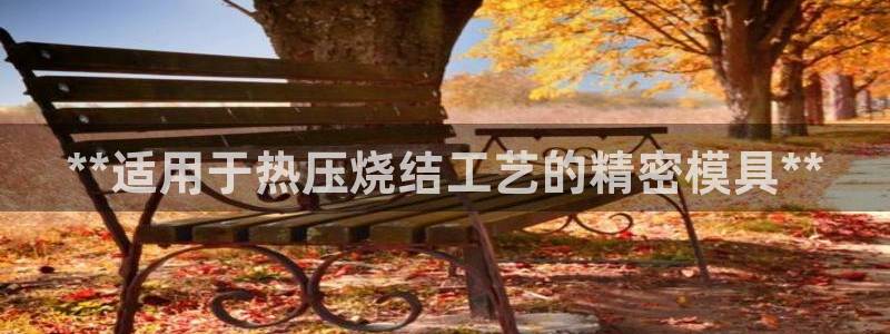 emc易倍最新链接：**适用于热压烧结工艺的精密模具**