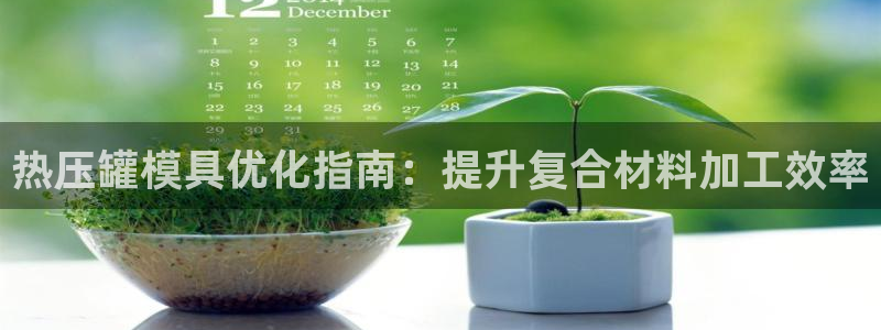易倍纤代餐粉能减肥吗：热压罐模具优化指南：提升复合材料加