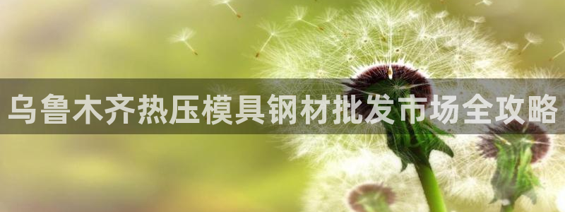 易倍网络技术有限公司怎么样