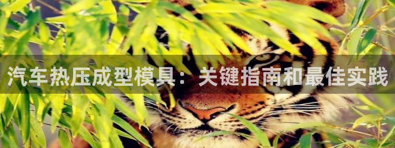 emc易倍账号异常