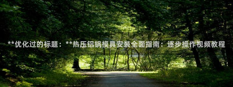 emc易倍首存500送球衣：**优化过的标题：**热压铝