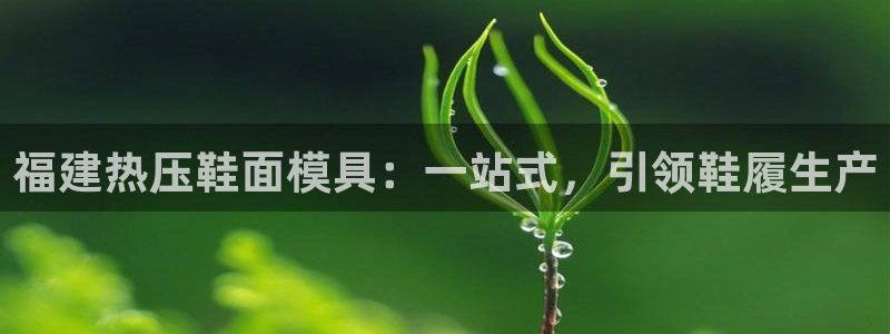 易倍思机电制造(上海)有限公司：福建热压鞋面模具：一站式