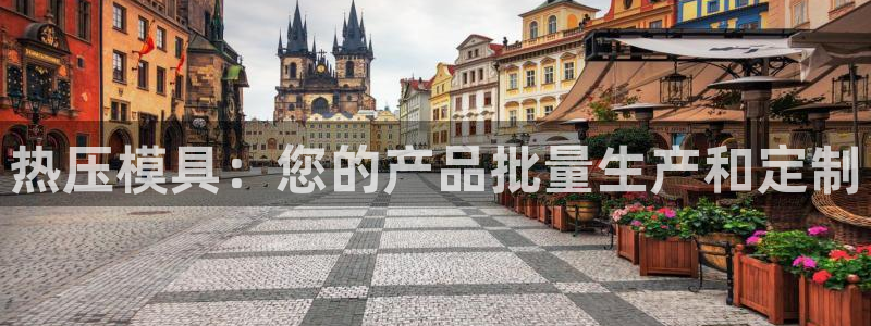 杭州易倍达：热压模具：您的产品批量生产和定制