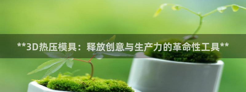 易倍纤减肥价格：**3D热压模具：释放创意与生产力的革命