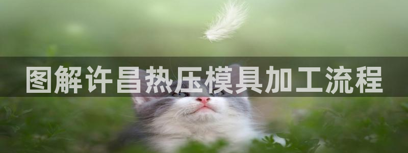 易倍单词官网下载