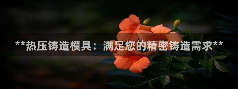 易倍申可以长期服用吗：**热压铸造模具：满足您的精密铸造