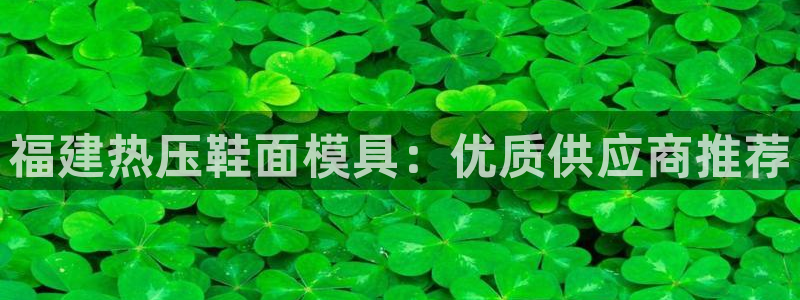 EMC易倍：福建热压鞋面模具：优质供应商推荐
