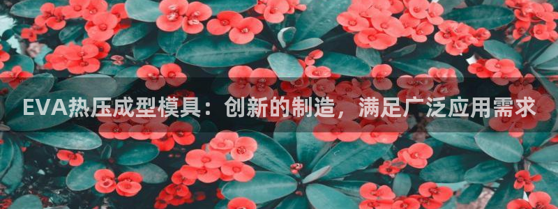 易倍单词如何下载：EVA热压成型模具：创新的制造，满足广