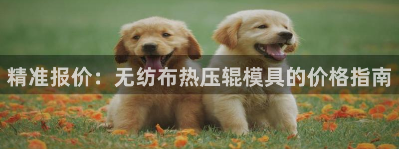 emc易倍登录：精准报价：无纺布热压辊模具的价格指南