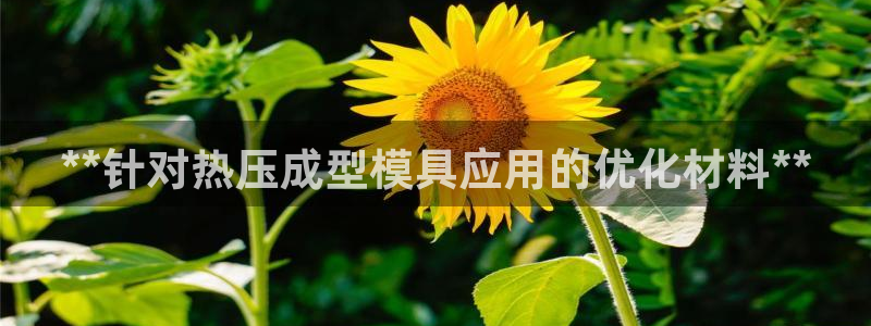 易倍单词登录网站：**针对热压成型模具应用的优化材料**