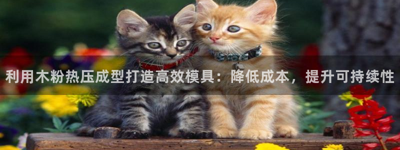 易倍申多少钱一盒：利用木粉热压成型打造高效模具：降低成本