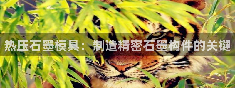 emc易倍全站