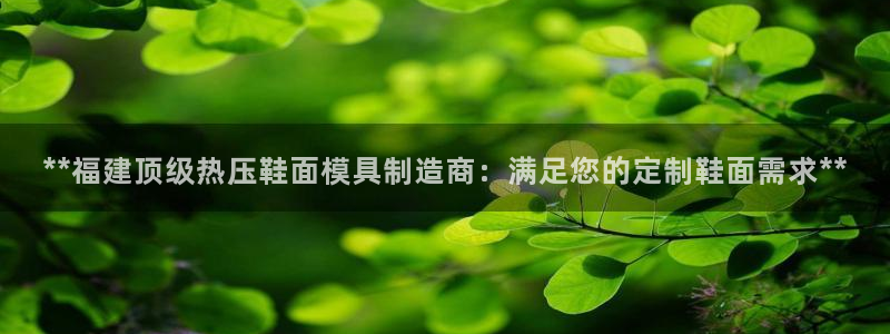 易倍申怎么样：**福建顶级热压鞋面模具制造商：满足您的定