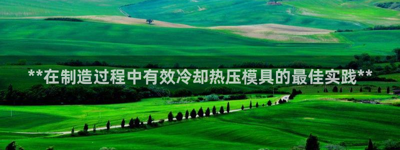 易倍申厂家：**在制造过程中有效冷却热压模具的最佳实践*
