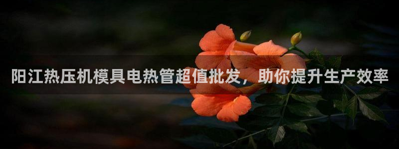 易倍申效果怎么样