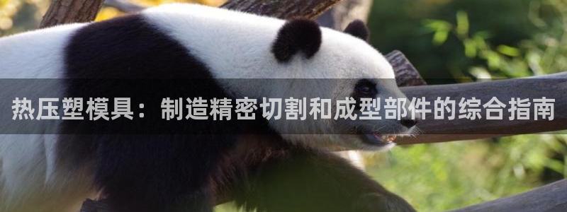 南京易倍易电子科技有限公司：热压塑模具：制造精密切割和成