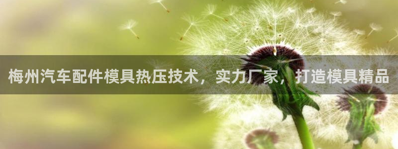 易倍申怎么样