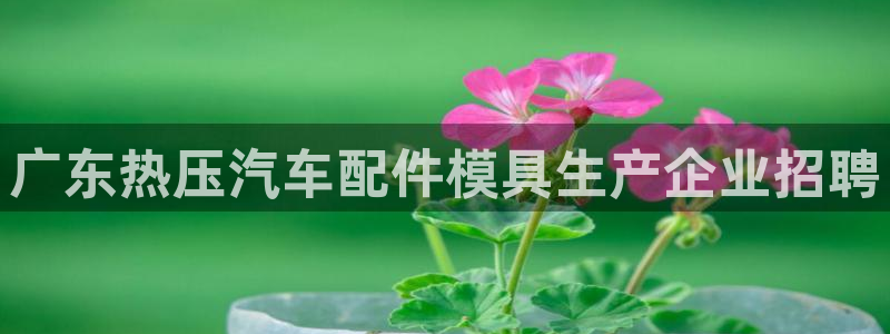 易倍纤奶昔减肥效果怎么样