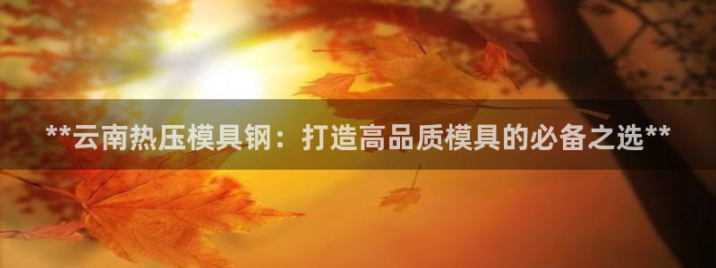 易倍单词app下载