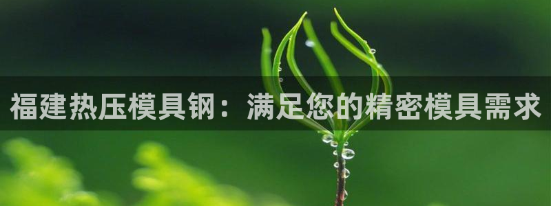 易倍思教育：福建热压模具钢：满足您的精密模具需求