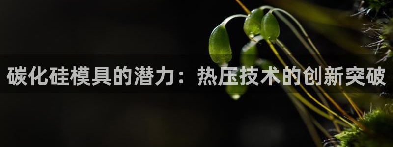易倍纤减肥价格