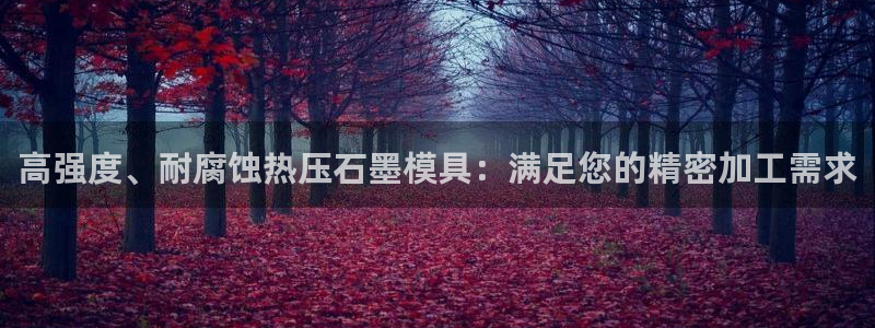 emc调试技巧：高强度、耐腐蚀热压石墨模具：满足您的精密