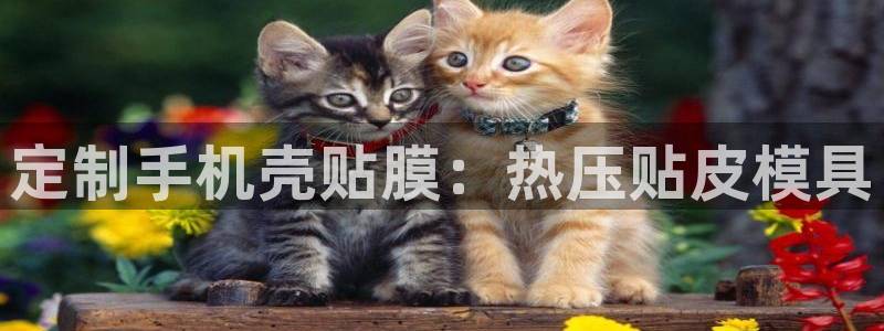 易倍纤减肥价格