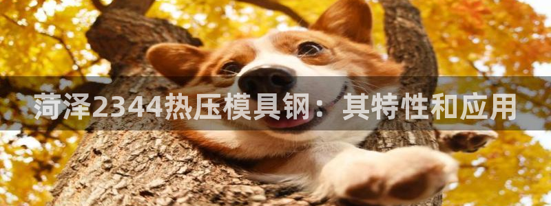 易倍申效果怎么样