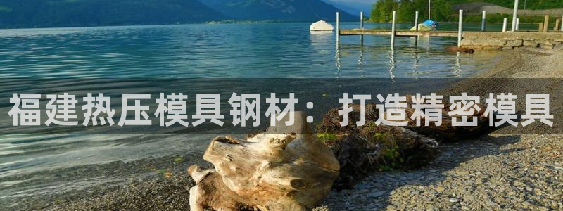 emc服务器是什么：福建热压模具钢材：打造精密模具