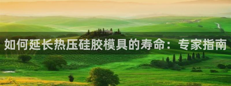 emc倍频：如何延长热压硅胶模具的寿命：专家指南