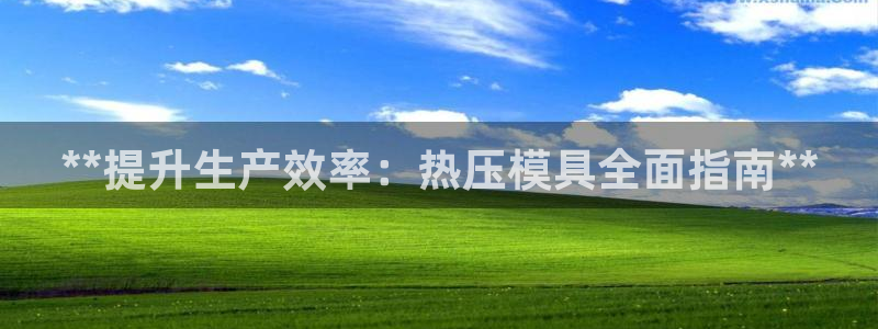 emc易倍下载：**提升生产效率：热压模具全面指南**